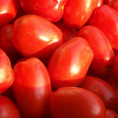 I pomodori, ecco come conservarli per l’inverno