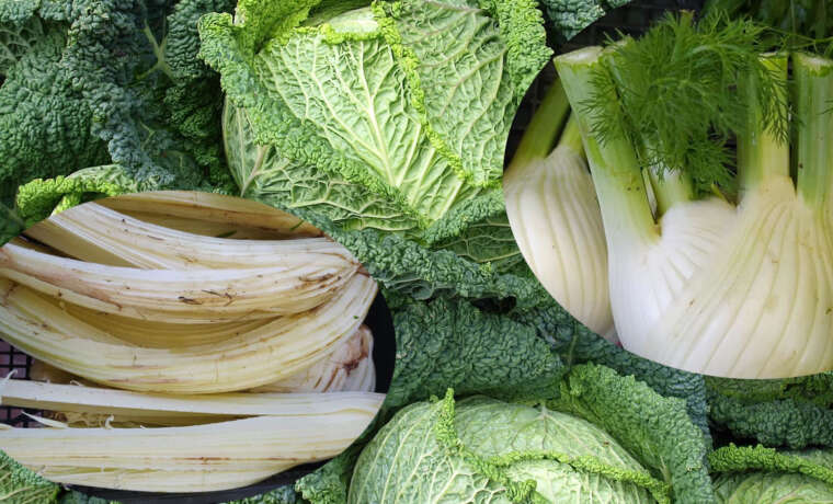 Le verdure che amano il freddo… e la nostra salute